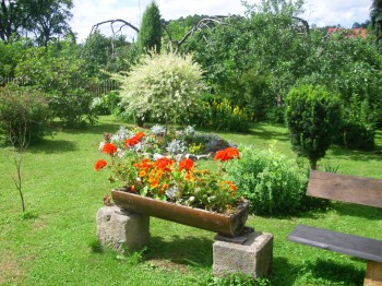 kliknij na fotk� �e zobaczy� wi�cej informacji
